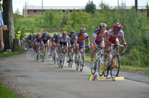 Rabobank Continental Team in the peloton (313x)