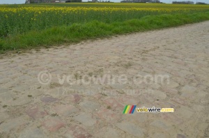 The cobbles ready to receive the riders (391x)