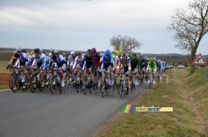 The peloton just after Blet (2) (494x)