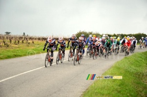 The peloton is following behind (260x)