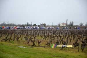 The peloton is coming up (271x)