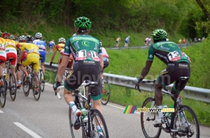 Thomas Voeckler (Europcar) at the back of the peloton (326x)