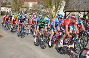 The peloton in Anlezy (2) (248x)