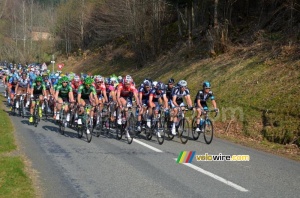 The peloton at the foot of the col du Champ Juin (342x)