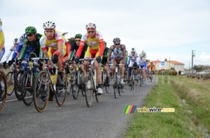 The peloton chasing behind the 12 riders (2) (307x)