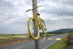 A yellow bike (304x)