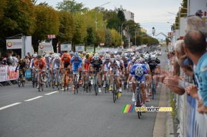 The peloton at the second crossing of the finish line (448x)