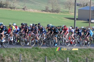 The peloton surrounded by fields (2) (349x)