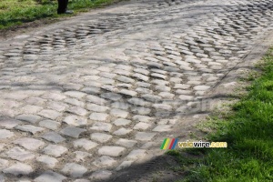 The cobbles of the section between Viesly and Quiévy (422x)