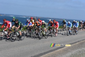The peloton at the sea side (2) (406x)