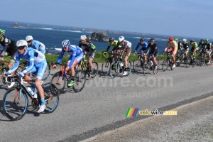 The peloton at the sea side (3) (425x)