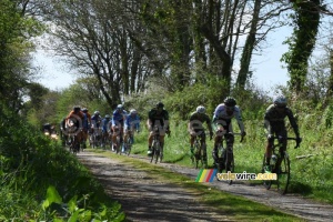 The chasing group full speed on the ribin in Milizac (368x)