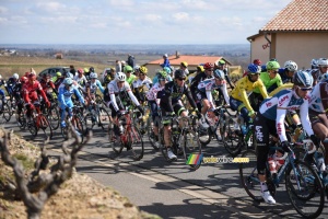 The peloton with Michael Matthews on its way to km 0 (359x)