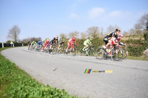 The peloton in the nature (2) (392x)