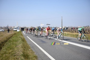 The breakaway with 17 riders in the wineyards (380x)
