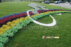 Rainbow decoration for the cycling World Championships (2) (441x)