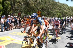 Mirko Selvaggi (Vacansoleil-DCM Pro Cycling Team) (442x)