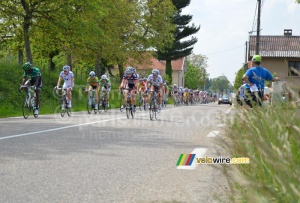 The peloton at the first sprint (499x)